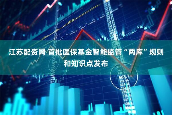 江苏配资网 首批医保基金智能监管“两库”规则和知识点发布