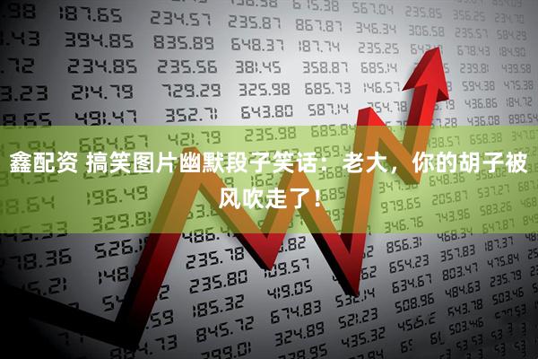 鑫配资 搞笑图片幽默段子笑话：老大，你的胡子被风吹走了！
